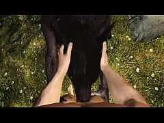 animal porn